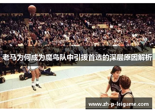 老马为何成为魔鸟队中引援首选的深层原因解析 老马为何成为魔鸟队中引援首选的深层原因解析