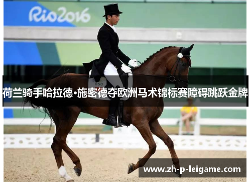 荷兰骑手哈拉德·施密德夺欧洲马术锦标赛障碍跳跃金牌