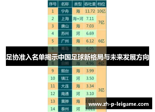 足协准入名单揭示中国足球新格局与未来发展方向